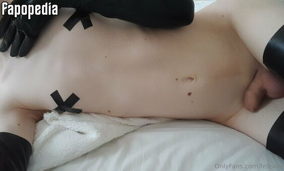 Felexiia Nude Leaks OnlyFans Photo 45