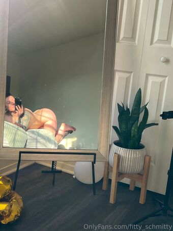 fitty_schmitty