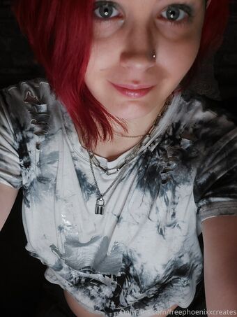 freephoenixxcreates Nude Leaks OnlyFans Photo 17