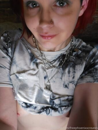 freephoenixxcreates Nude Leaks OnlyFans Photo 20