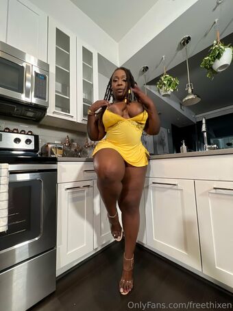 freethixen Nude Leaks OnlyFans Photo 61