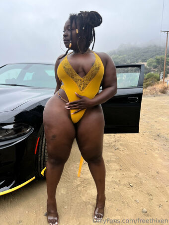 freethixen Nude Leaks OnlyFans Photo 66