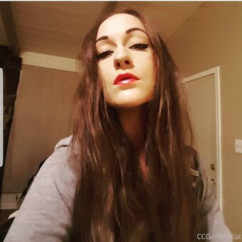 geminikittykde