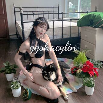 ggshacylin Nude Leaks OnlyFans Photo 239