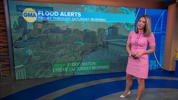 Ginger Zee