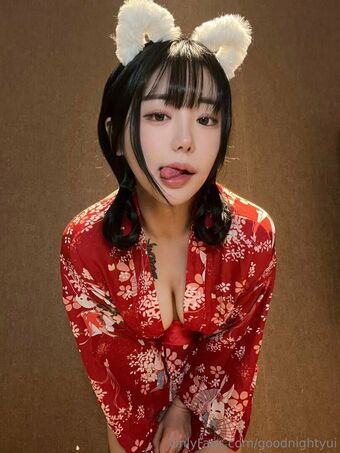 goodnightyui