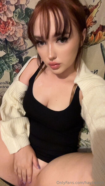 haybeann