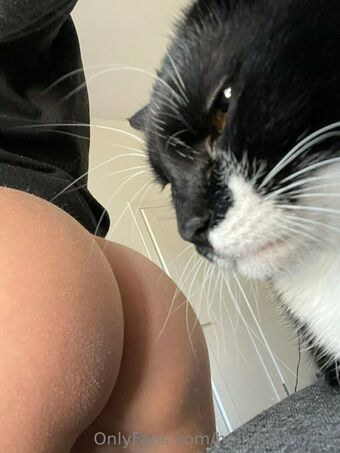 hollymoonvvip Nude Leaks OnlyFans Photo 3