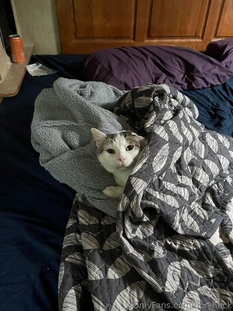 holyheck Nude Leaks OnlyFans Photo 89