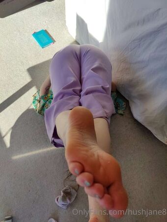 hushjane8 Nude Leaks OnlyFans Photo 25