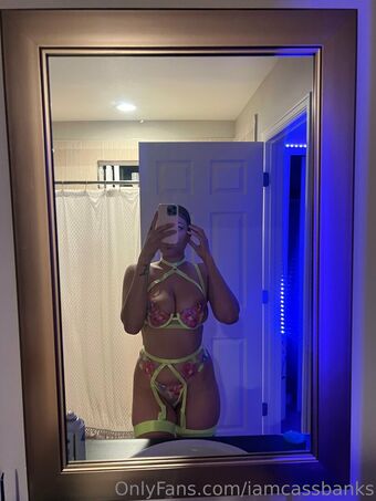 iamcassbanks Nude Leaks OnlyFans Photo 18