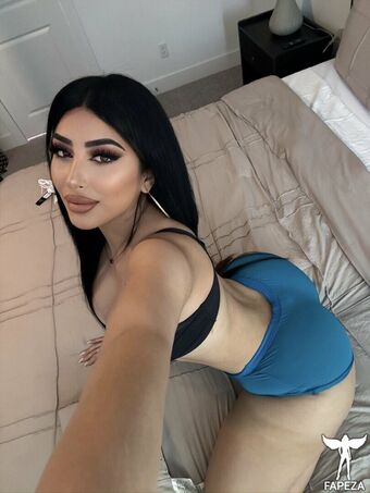 Iamicynina