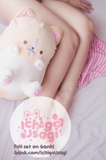 Ichigo Usagi