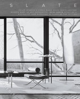 Irina Shayk Nude Leaks OnlyFans Photo 625