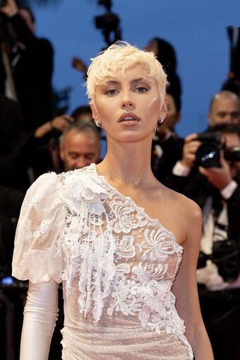 Iris Law