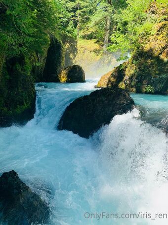 iris_ren