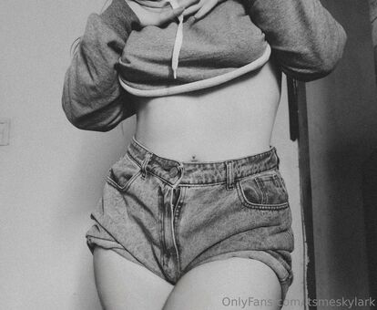 itsmeskylark