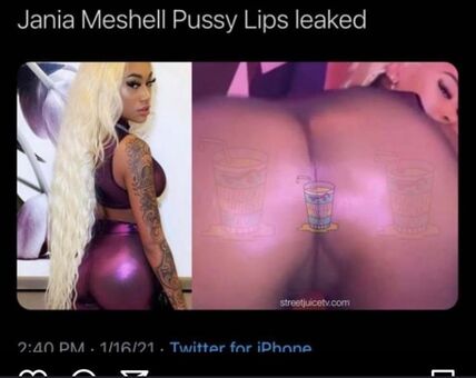 Janiameshell Nude Leaks OnlyFans Photo 4