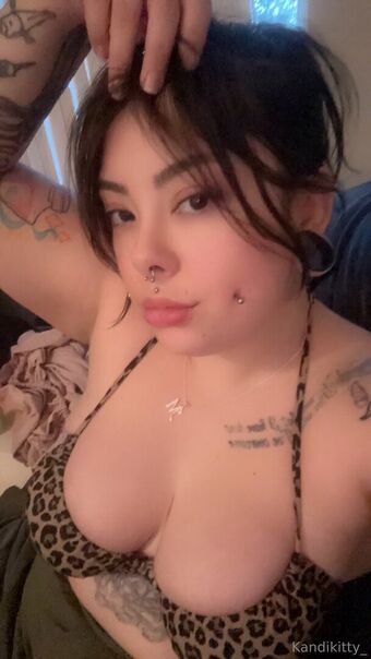 kandikitty