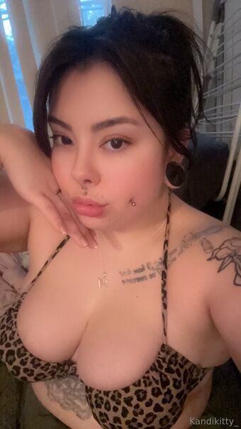 kandikitty
