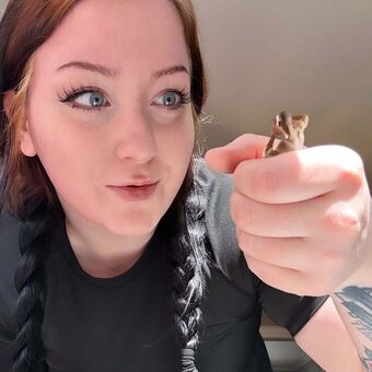 Kendrakemper