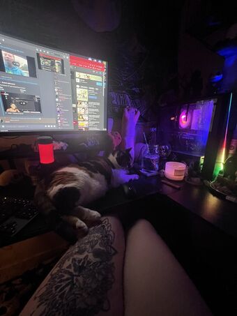 Kitty Titty