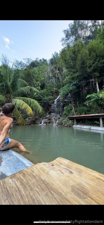 Kittyflightattendant