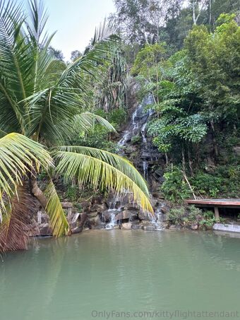 Kittyflightattendant