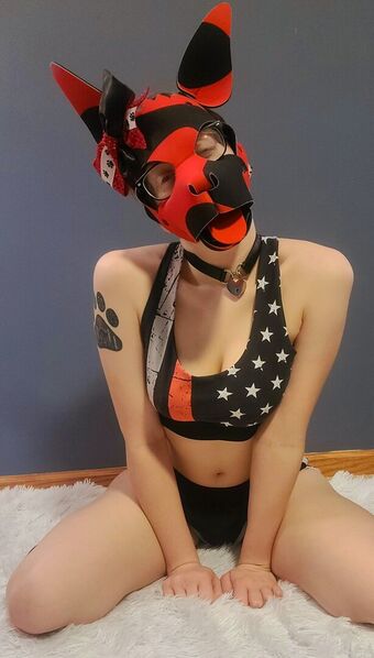 Kodi_pup