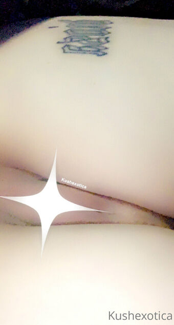 kushexoticafree Nude Leaks OnlyFans Photo 19