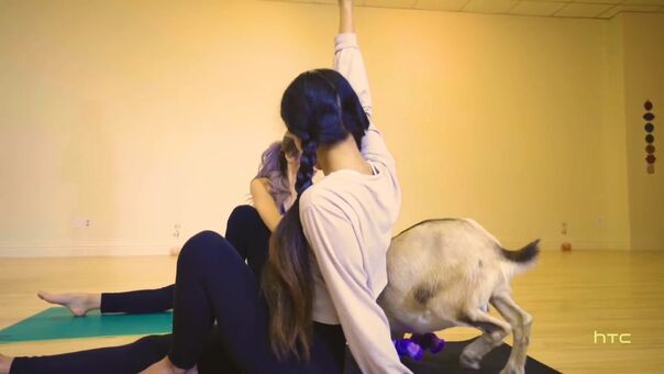 leena_xu Nude Leaks OnlyFans Photo 51