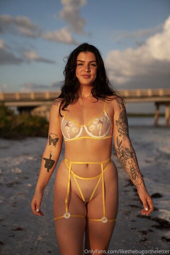 likethebugortheletter