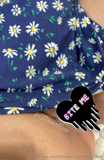 litdesertrosesneakpeak