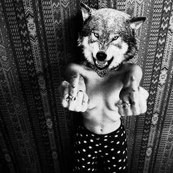LolaWolf