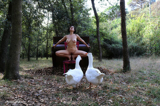 Luz Del Fierro Nude Leaks OnlyFans Photo 57