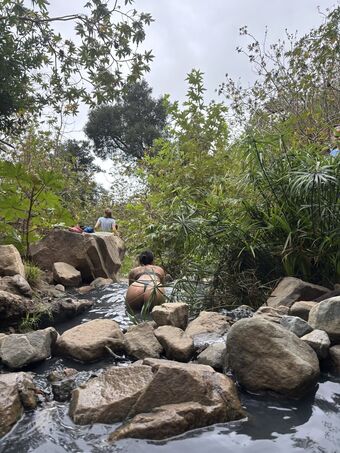 Mangowoman Nude Leaks OnlyFans Photo 49