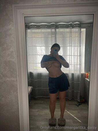margaritka_daisy