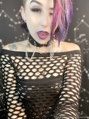 mellowkittenof