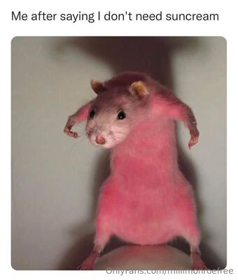 millimonroefree