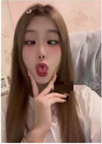 mimi8848