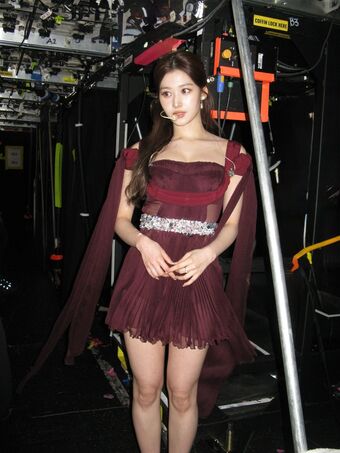 Minatozaki Sana Nude Leaks OnlyFans Photo 72