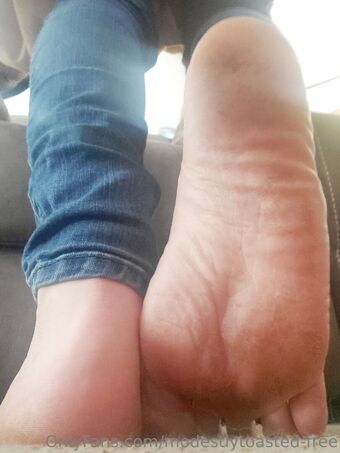 modestlytoasted-free