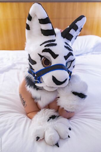 Murrsuit