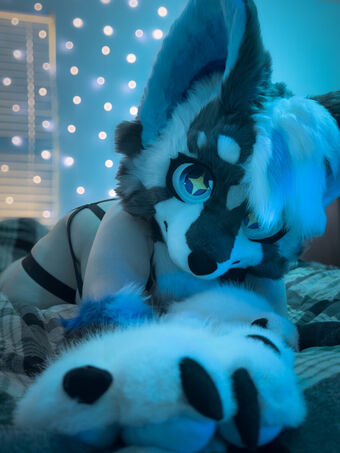 Murrsuit