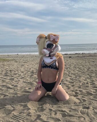 Murrsuit