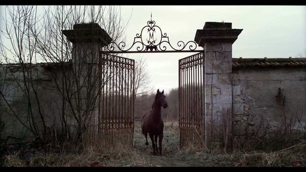 Mylene Farmer Nude Leaks OnlyFans Photo 41