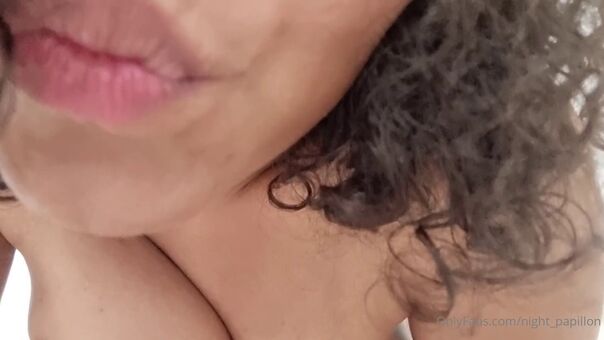 Night Papillon