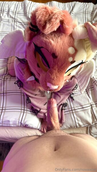 novaxcat Nude Leaks OnlyFans Photo 29