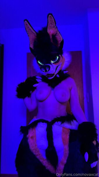 novaxcat Nude Leaks OnlyFans Photo 40