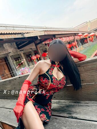 npxvip Nude Leaks OnlyFans Photo 143